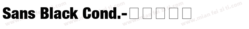 Sans Black Cond.字体转换